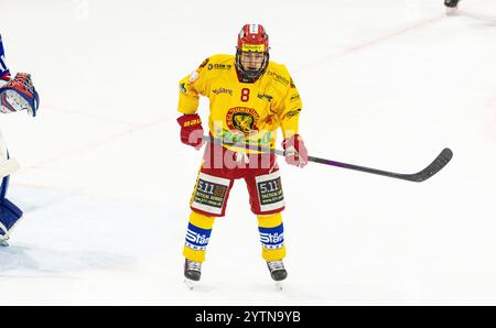 Kloten, Schweiz, 29. Nov 2024: #8 Moritz Hasler, Stürmer SCL Young Tigers U20-Elit Team. (Foto: Andreas Haas/dieBildmanufaktur) Stockfoto