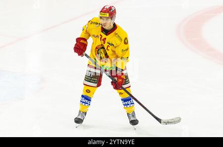 Kloten, Schweiz, 29. Nov 2024: #34 Lenny Schenk, Stürmer SCL Young Tigers U20-Elit Team. (Foto: Andreas Haas/dieBildmanufaktur) Stockfoto