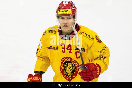 Kloten, Schweiz, 29. Nov 2024: #34 Lenny Schenk, Stürmer SCL Young Tigers U20-Elit Team. (Foto: Andreas Haas/dieBildmanufaktur) Stockfoto