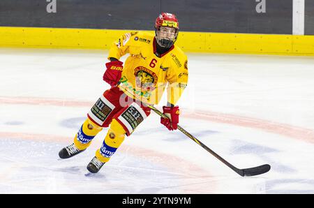 Kloten, Schweiz, 29. November 2024: #6 Nik Lehmann, Verteidiger SCL Young Tigers U20-Elit Team. (Foto: Andreas Haas/dieBildmanufaktur) Stockfoto