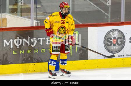 Kloten, Schweiz, 29. November 2024: #66 Noel Blaha, Stürmer der SCL Young Tigers U20-Elit Team. (Foto: Andreas Haas/dieBildmanufaktur) Stockfoto