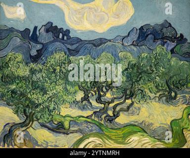 Van Gogh, die Olivenbäume, 1889, Öl auf Leinwand. Vincent Van Gogh Malerei, Van Gogh Landschaft; postimpressionistische Gemälde aus dem 19. Jahrhundert Stockfoto