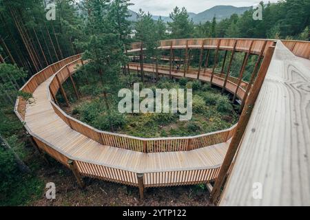 Hamaren Activity Park Green Pines Trees aus der Vogelperspektive mit geschwungenem Baumwipfelpfad. Bild des Konzepts Reisen, Architektur und Schönheit in der Natur. S Stockfoto