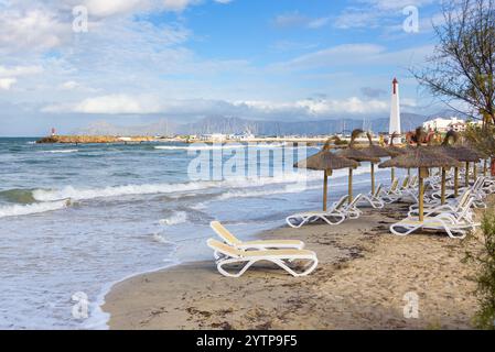 Sandstrand mit Strohschirmen und Liegestühlen in Can Picafort, Touristenort im Norden Mallorcas. Balearen, Spanien Stockfoto