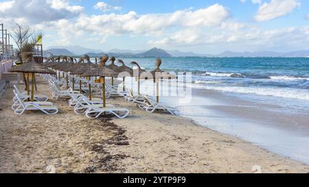 Sandstrand mit Strohschirmen und Liegestühlen in Can Picafort, Touristenort im Norden Mallorcas. Balearen, Spanien Stockfoto
