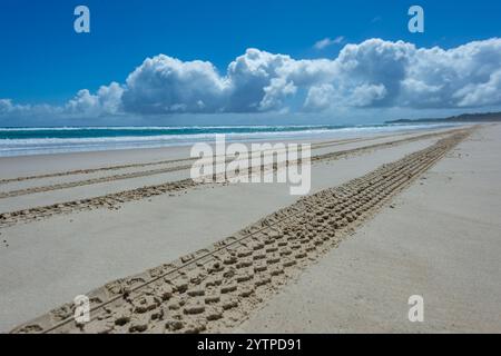 Reifenspuren auf Flinders Beach, North Stradbroke Island, Queensland, QLD, Australien Stockfoto