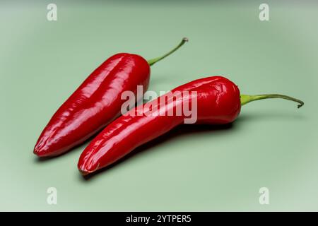 , Deutschland, 07.12.2024, zwei leuchtend rote Paprikaschoten / Chillischoten liegen auf einem hellgrünen Hintergrund, symbolisieren gesunde Ernährun Stockfoto