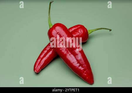 , Deutschland, 07.12.2024, zwei leuchtend rote Paprikaschoten / Chillischoten liegen auf einem hellgrünen Hintergrund, symbolisieren gesunde Ernährun Stockfoto