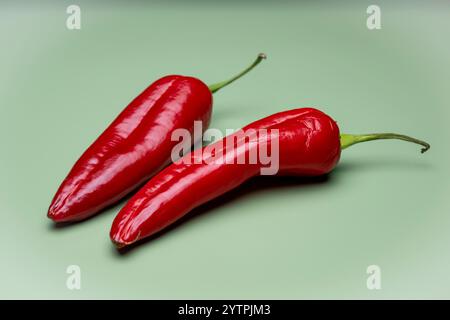 Zwei rote Paprikaschoten / Chillischoten auf Grün , Deutschland, 07.12.2024, zwei leuchtend rote Paprikaschoten / Chillischoten liegen auf einem hellgrünen Hintergrund, symbolisieren gesunde Ernährung, frische und natürliche Lebensmittel. *** Zwei rote Paprika Chilli Paprika auf grün, Deutschland, 07 12 2024, zwei hellrote Paprika Chilli Paprika liegen auf hellgrünem Hintergrund und symbolisieren gesunde Ernährung, Frische und natürliche Lebensmittel Stockfoto