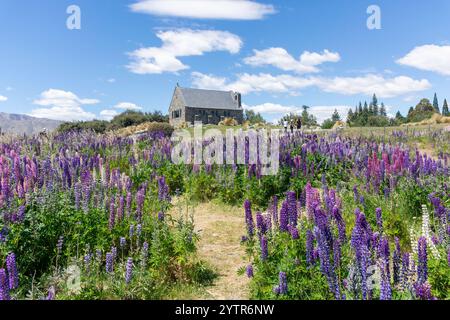 Die Kirche des Guten Hirten mit Lupinblüten in der Blüte, Tekapo (Takapō), Canterbury, Südinsel, Neuseeland Stockfoto