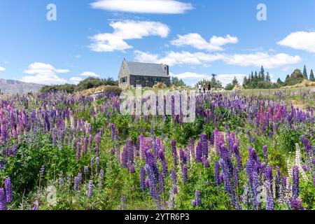 Die Kirche des Guten Hirten mit Lupinblüten in der Blüte, Tekapo (Takapō), Canterbury, Südinsel, Neuseeland Stockfoto