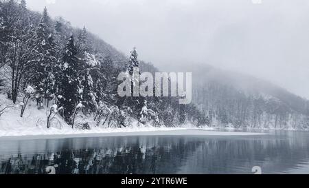 Hintergrund der Weihnachtsfeiertage. Plitvicer Seen, Nationalpark in Kroatien, im Winter, mit Schnee bedeckt. Landschaftsfotografie. Fotos der Wintersaison Stockfoto