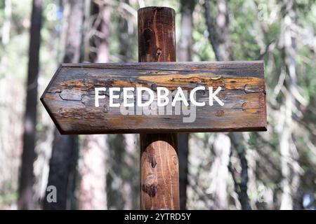 Konzeptionelle Zeit für Feedback-Symbol. Kopierbereich. Auf den Schildern im Wald vor dem Hintergrund von Bäumen steht ein FEEDBACK-Wort. Stockfoto