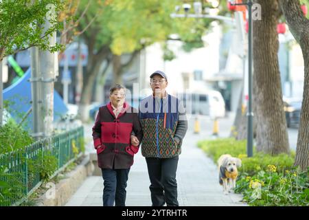 Chinesin in ihren 70ern und ihr Enkel, Mann in seinen 30ern, spazieren im Qingpu-Viertel von Shanghai, China, während der kalten Wintersaison entlang des Flusses. Stockfoto