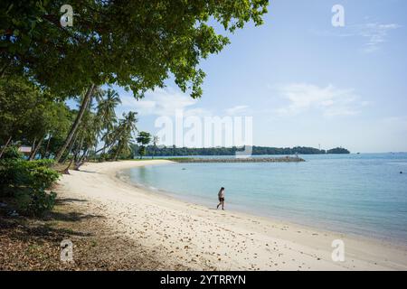 Sisters' Islands Marine Park, Singapur. Lagune Gezeitenbecken und Strand dienen als Korallenhabitat und Forschungsstätte. Stockfoto