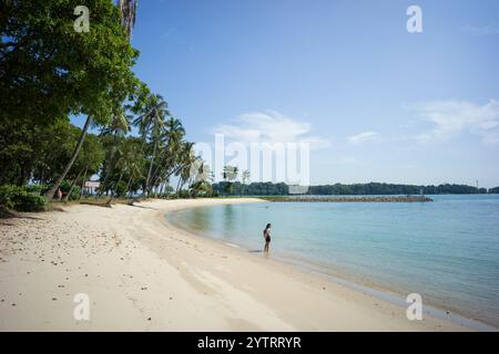 Sisters' Islands Marine Park, Singapur. Lagune Gezeitenbecken und Strand dienen als Korallenhabitat und Forschungsstätte. Stockfoto