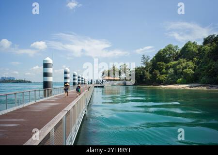 Sisters' Islands Marine Park, Singapur. Lagune Gezeitenbecken und Strand dienen als Korallenhabitat und Forschungsstätte. Stockfoto