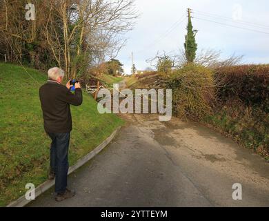 Stroud, UK, 8. Dezember 2024. Wetter in Großbritannien. Bäume unten am Selsley Hill unterbrachen 28 Häuser, als eine weitere Nacht des Sturms Darragh über Stroud, Gloucestershire, wütete. Quelle: Gary Learmonth / Alamy Live News Stockfoto