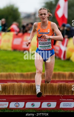 Antalya, Türkei. Dezember 2024. ANTALYA, TÜRKEI - 8. DEZEMBER: Femke Rosbergen aus den Niederlanden tritt am 8. Dezember 2024 in Antalya, Türkei, bei der 30. SPAR-Cross-Country-Europameisterschaft in Dokumapark an. (Foto von Yagiz Gurtug/BSR Agency) Credit: BSR Agency/Alamy Live News Stockfoto