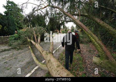 Ein gefallener Baum in Swainshill, Herefordshire, nachdem Storm Darragh Großbritannien und Irland getroffen hatte. Bilddatum: Sonntag, 8. Dezember 2024. Stockfoto