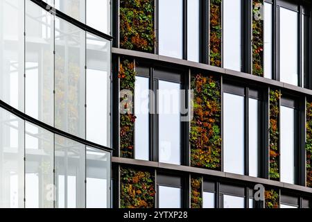 Grüne Gebäudefassade mit vertikalen Gärten und großen Glasfenstern für nachhaltige Architektur Stockfoto