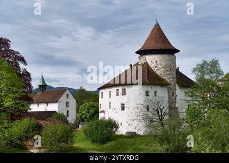 Schweiz, Baselland, Baselbiet, Laufental, Zwingen, Zwingen BL, Wasserschloss, Frühling Stockfoto