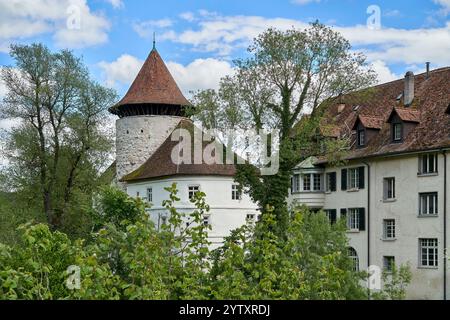 Schweiz, Baselland, Baselbiet, Laufental, Zwingen, Zwingen BL, Wasserschloss, Frühling Stockfoto