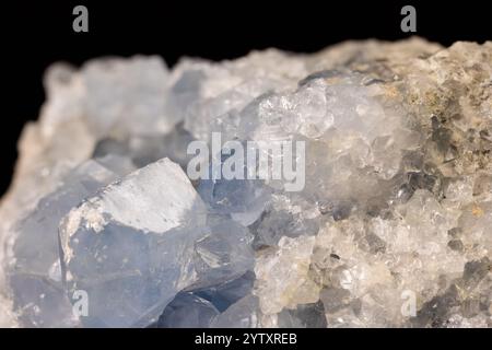 Blauer Celestine Kristallstein Makromineralstein. Natürliche azurblaue raue Celestitkristalle gruppieren sich auf schwarzem Hintergrund Stockfoto