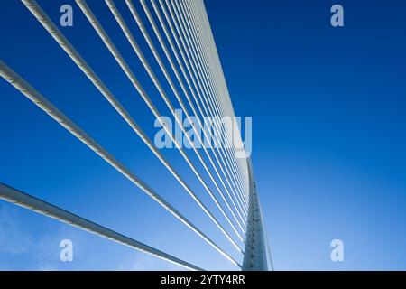 Die Stadt der Künste und Wissenschaften (Ciudad de las Artes y las Ciencias) liegt im trockenen Flussbett des Río Turia. Moderne, zeitgenössische Architektur Stockfoto