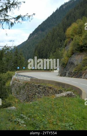 Eine gewundene Straße schlängelt sich durch einen dichten, grünen Wald mit majestätischen Bergen im Hintergrund. Stockfoto