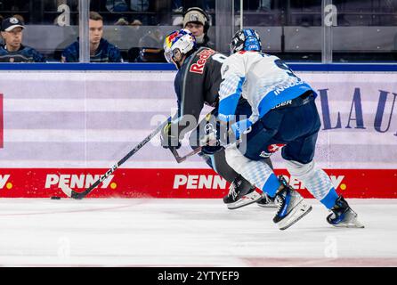 Kampf um den Puck / Zweikampf zwischen Tobias Rieder (EHC Red Bull Muenchen, #8) und Myles Powell (ERC Ingolstadt Panther, #9). GER, EHC Red Bull München vs. ERC Ingolstadt, Eishockey, DEL, 24. Spieltag, Saison 2024/2025, 08.12.2024. Foto: Eibner-Pressefoto/Heike Feiner Stockfoto