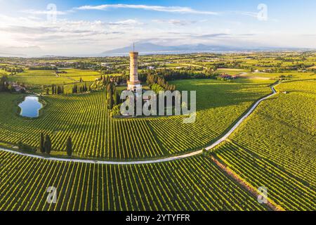 Blick aus der Vogelperspektive auf den Turm San Martino della Battaglia, umgeben von Weingärten und dem Gardasee im Hintergrund, San Martino della Battaglia Stockfoto