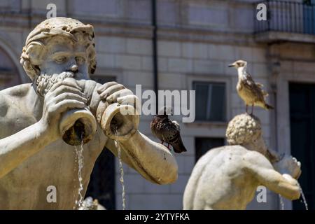 Fontana del Moro an der Piazza Navona in Rom, Italien, sonniger Tag Stockfoto