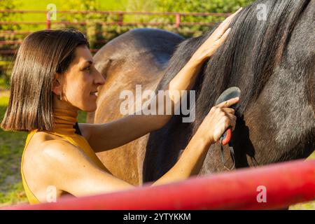 Nahaufnahme einer Frau, die an einem sonnigen Tag mit einem Currykamm eine Pferdemähne putzt, wobei die Pflege und Verbindung in einer Umgebung auf einer Ranch im Freien betont wird. Lebensstil Stockfoto