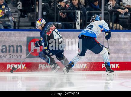 Kampf um den Puck / Zweikampf zwischen Yasin Ehliz (EHC Red Bull Muenchen, #42) und Mathew Bodie (ERC Ingolstadt Panther, #22). GER, EHC Red Bull München vs. ERC Ingolstadt, Eishockey, DEL, 24. Spieltag, Saison 2024/2025, 08.12.2024. Foto: Eibner-Pressefoto/Heike Feiner Stockfoto