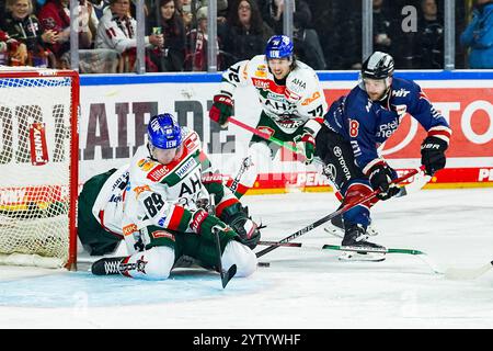 Deutschland. Dezember 2024. Eishockey Penny-DEL 24.Spieltag Koelner Haie - Augsburger Panther am 08.12.2024 in der Lanxess Arena in Köln Mark Zengerle ( Augsburg ), links - rettet gegen Joshua Currie ( Köln ), rechts Gemaess den Vorgaben der DEL Deutsche Eishockey Liga ist die Publikation und Weiterverwertung der Aufnahmen in elektronischen Medien und Endgeraeten aller Art waehrend des laufenden Spiele zulaessig. Foto: Revierfoto Credit: ddp Media GmbH/Alamy Live News Stockfoto