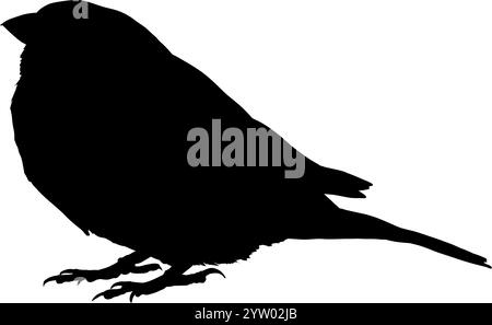 sparrow Silhouette – Vektorillustration Stock Vektor