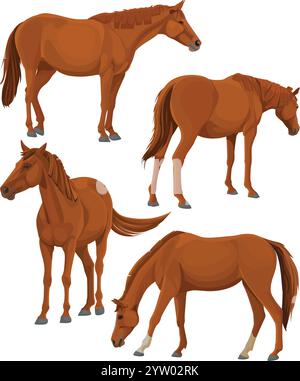 Pferdeillustration mit verschiedenen Posen Stock Vektor