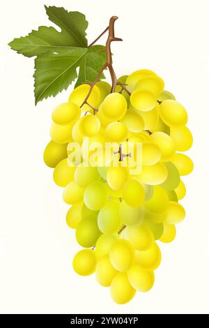 Realistische transparente isolierte Vektorgruppe grüner Trauben Stock Vektor