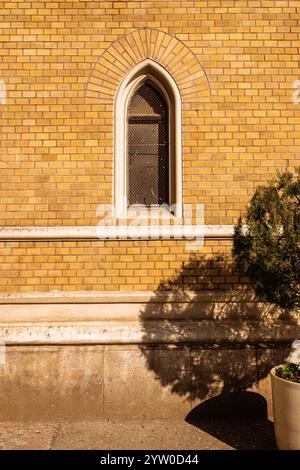 Kleiner Baum in einem Topf, der Schatten auf die gelbe Ziegelwand wirft, vertikales Bild Stockfoto