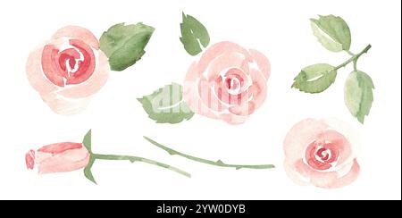 Set rosafarbene Rosen mit Knospen und Stielen. Einfache Skizze, Ala Prima Malerei. Aquarell abstrakte handgezeichnete Blumen Illustration isoliert auf einem weiß Stockfoto