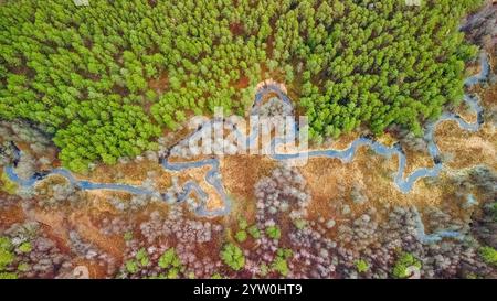 Steiler Abhang und Schlaufen des Flusses Gruda, Herzform, von oben, in der Nähe des Dorfes Kasetos, Bezirk Varena, Litauen. Dzukija Nationalpark. Stockfoto