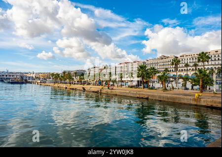 Vue Panorama sur le Front de mer d'Alger, avec des palmiers, des bâtiments koloniaux et un ciel bleu partiellement nuageux Stockfoto