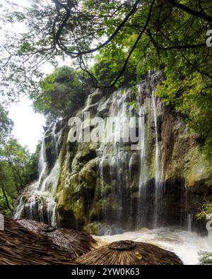 Ein atemberaubender Wasserfall fließt die zerklüftete Klippe hinunter und plätschert in einen ruhigen Pool darunter. Die Szene ist umgeben von lebendigen grünen Bäumen, die kreieren Stockfoto