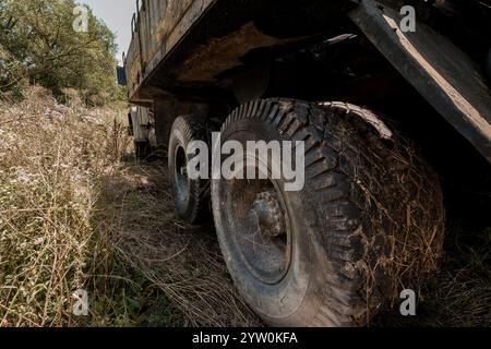 Perspektivische Ansicht eines verlassenen Trucks in der verwachsenen Wildnis. Stockfoto