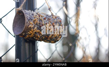 Nahaufnahme eines Vogelfutters aus einer mit Flüssigtalg bestrichenen Toilettenpapierrolle, eingeweicht in einer Mischung aus Körnern, Samen und Mohn Stockfoto