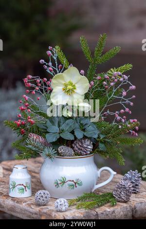 helleborus niger, Tannenzweige und Rosenhüften in einem Saucenboot im Wintergarten Stockfoto