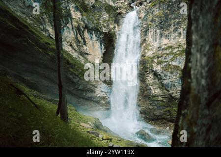 Ein wunderschöner Wasserfall ist majestätisch von üppigen Bäumen und zerklüfteten Felsen umgeben und schafft eine malerische Naturszene voller Wunder und Gelassenheit Stockfoto