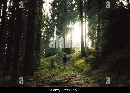 Ein Individuum geht langsam durch einen wunderschönen Wald, wo das warme Sonnenlicht hell durch die Bäume darüber scheint Stockfoto