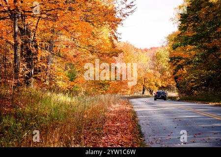 Ein Auto mit Fahrrädern auf der Rückseite fährt im Herbst im Norden von Michigan eine Straße durch Bäume entlang Stockfoto